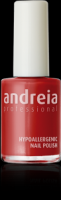 VERNIS ANDREIA PROFESSIONAL N°10