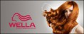 /album/galerie-de-photos/wella-rvb-jpg/